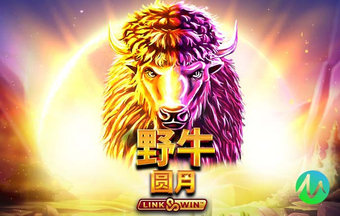 大发彩票手机官网登录